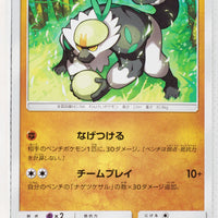 SM1 Collection Sun 031/060 Passimian