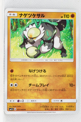 SM1 Collection Sun 031/060 Passimian