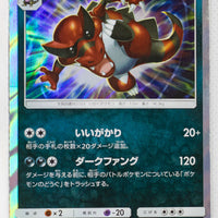 SM1 Collection Sun 036/060 Krookodile Holo