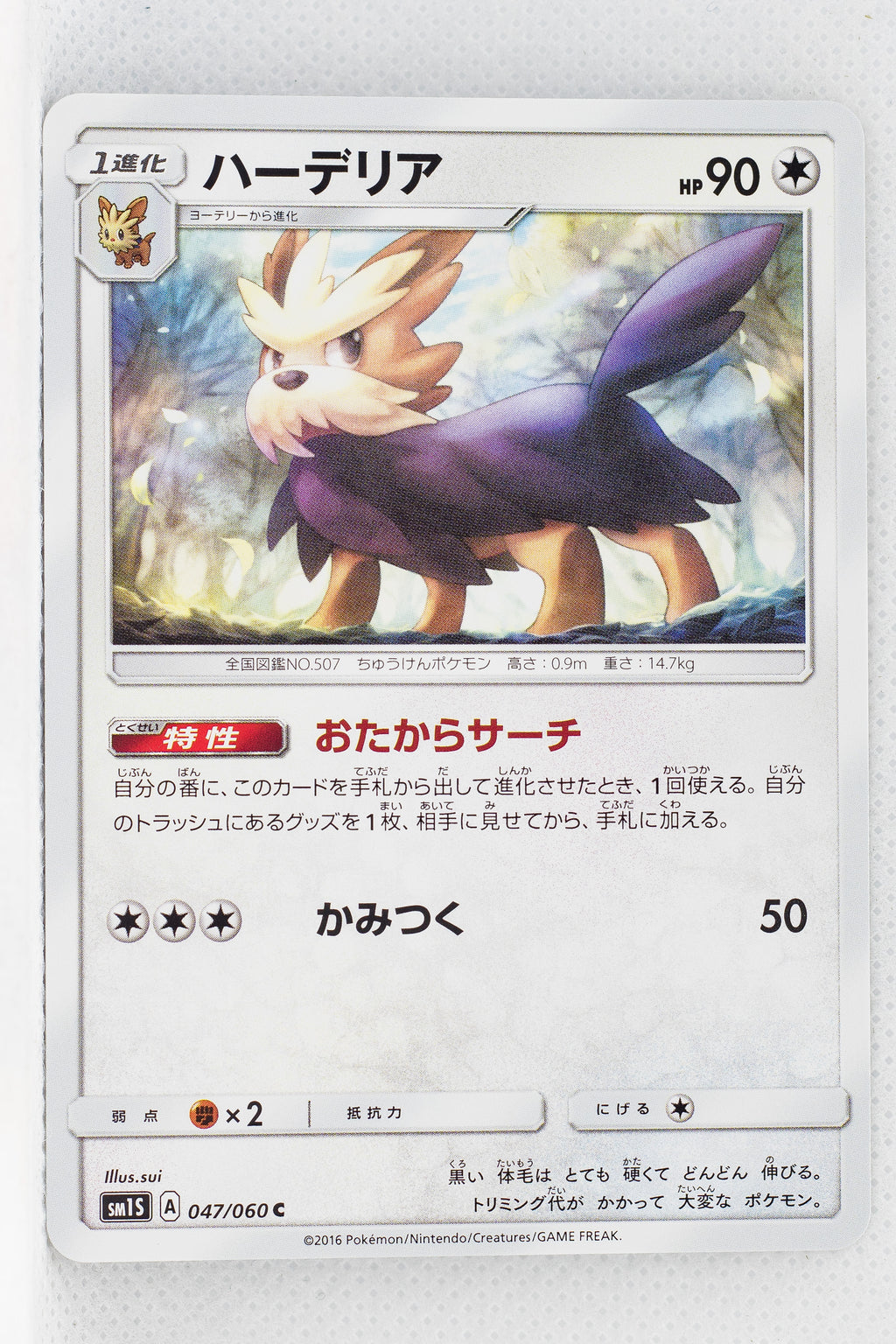 SM1 Collection Sun 047/060 Herdier