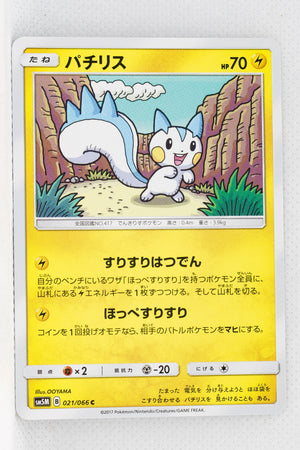 SM5M Ultra Moon 021/066 Pachirisu