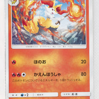 SM6 Forbidden Light 013/094 Braixen