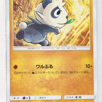 SM6 Forbidden Light 042/094 Pancham