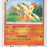 SM6b Champion Road 012/066 Combusken