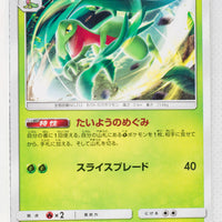 SM7b Fairy Rise 004/050 Grovyle