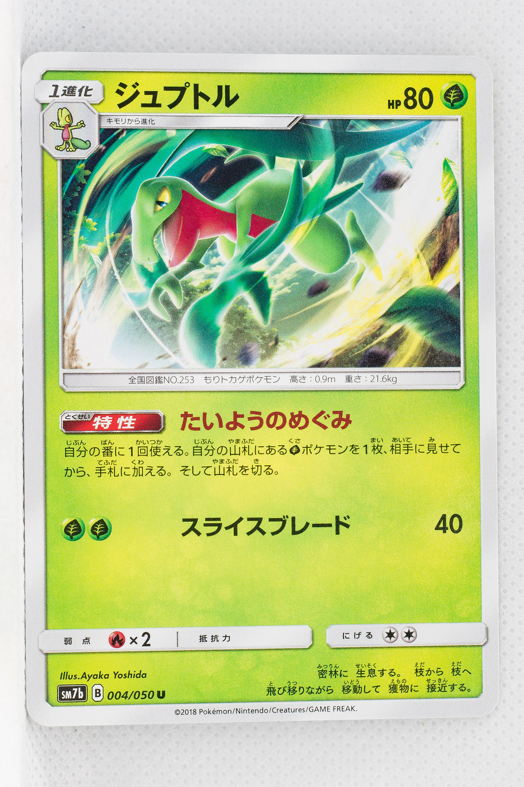 SM7b Fairy Rise 004/050 Grovyle