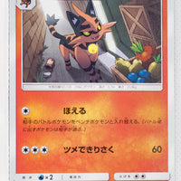 SM8a Dark Order 002/052 Torracat