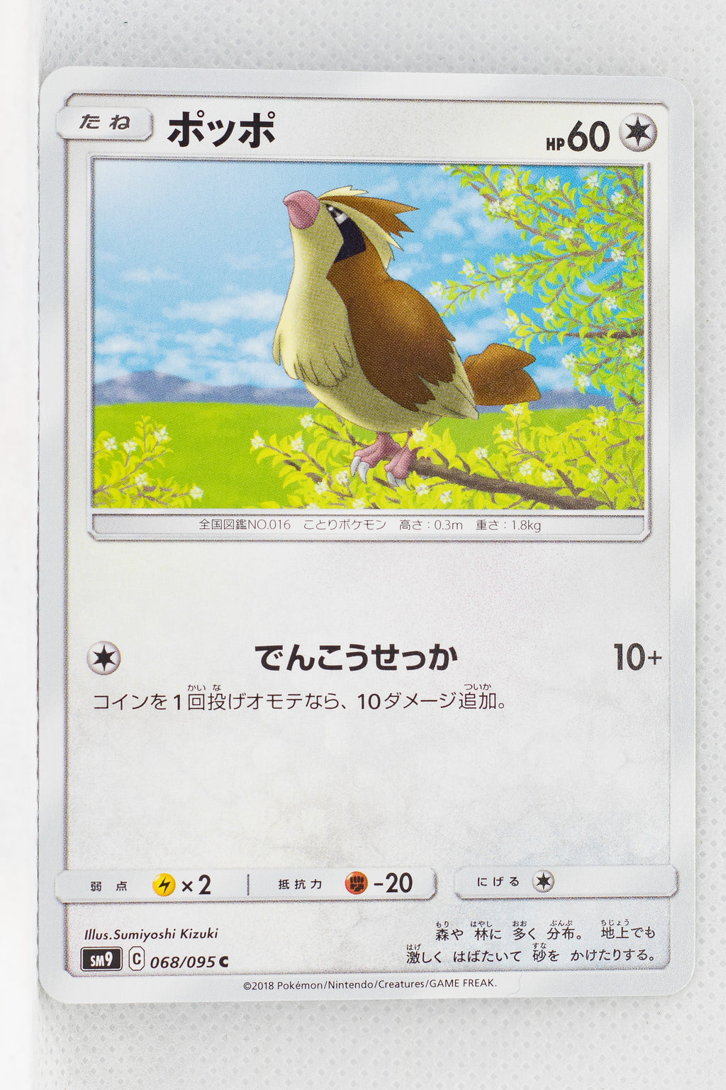 SM9 Tag Bolt 068/095 Pidgey