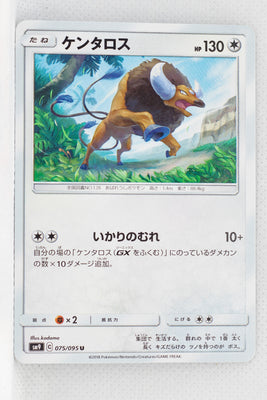 SM9 Tag Bolt 075/095 Tauros