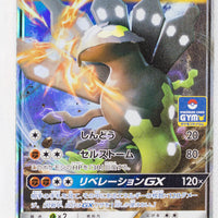 216/SM-P Zygarde GX March 2018-May 2018 Pokémon Card Gym Pack Holo