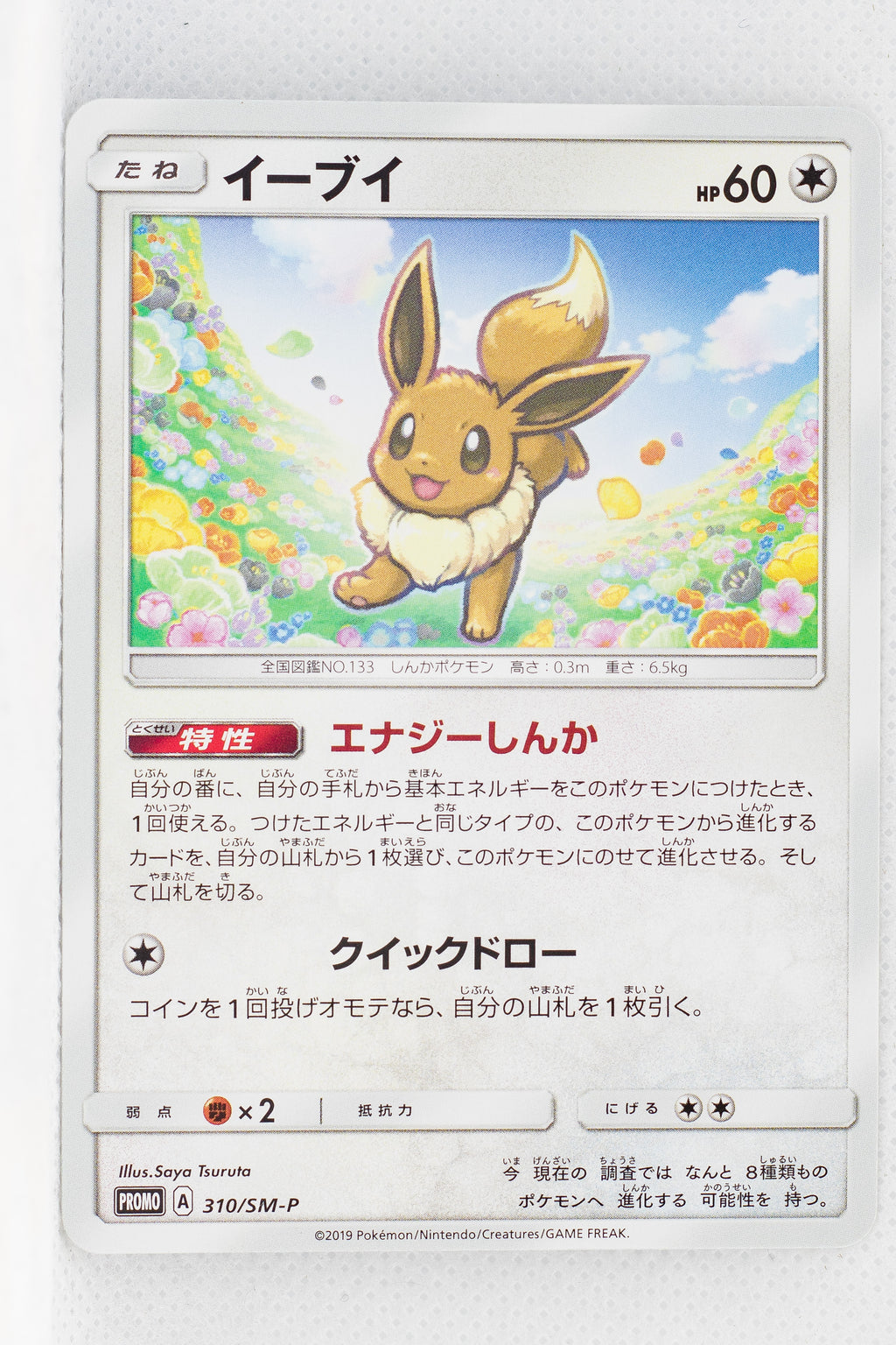 310/SM-P Eevee World Hobby Fair Promo