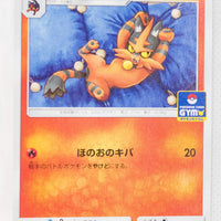 313/SM-P Torracat March 2019-May 2019 Pokémon Card Gym Pack