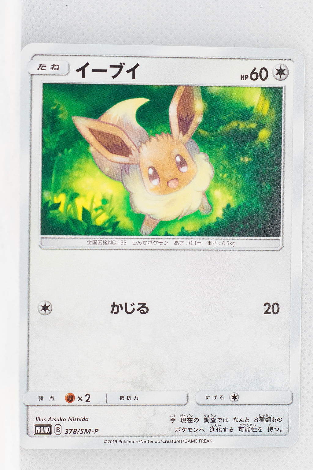 378/SM-P Eevee Lawson Summer Campaign