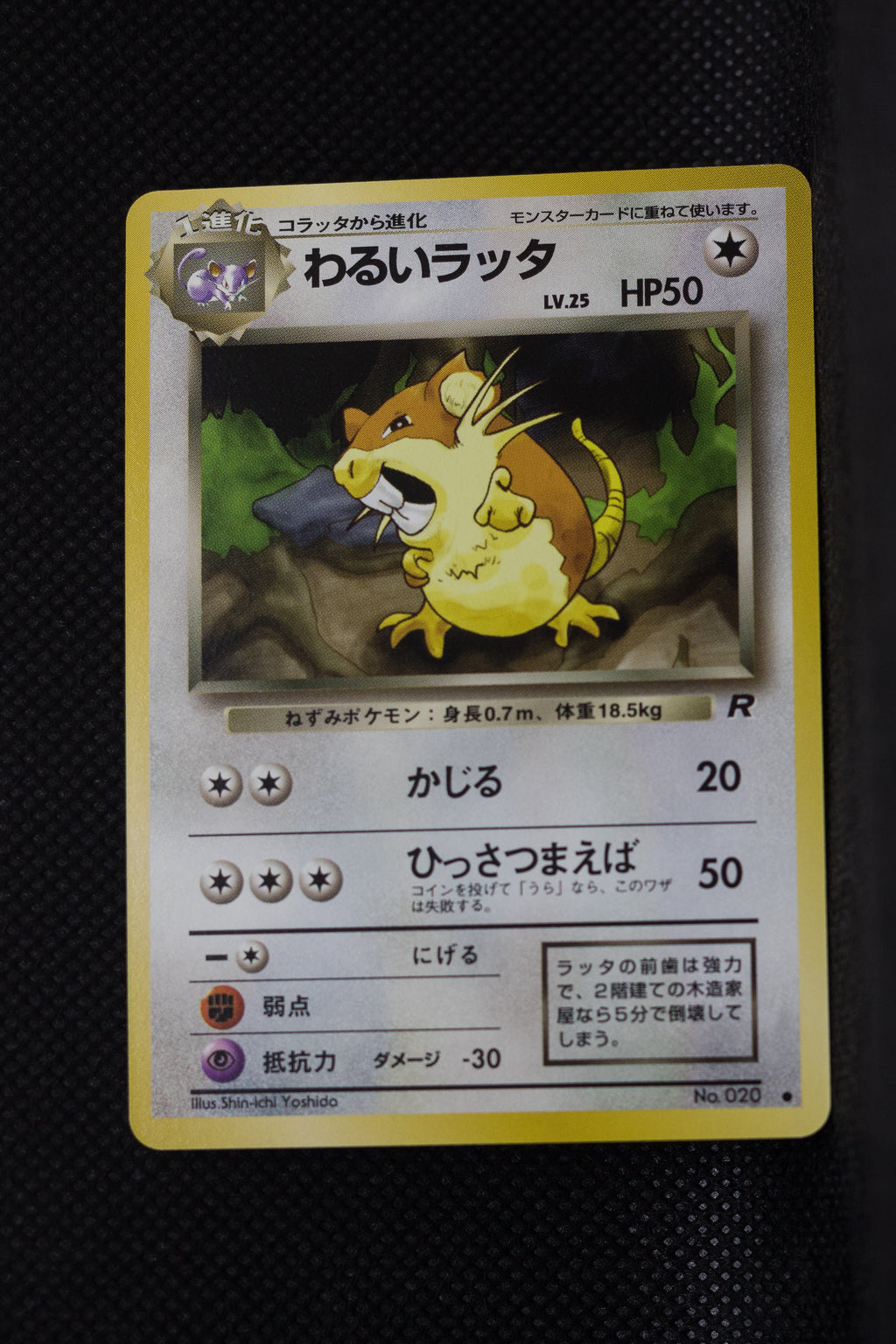 Team Rocket Japanese  Dark Raticate 020 Common