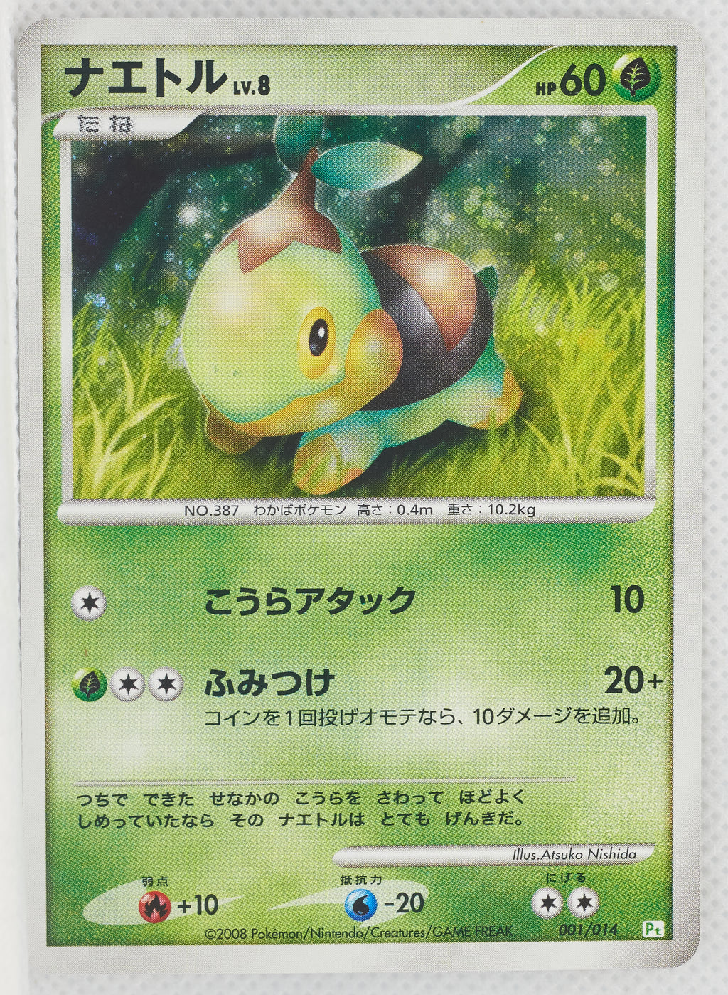 2008 DPt Gift Box Turtwig Deck 001/014 Turtwig Holo