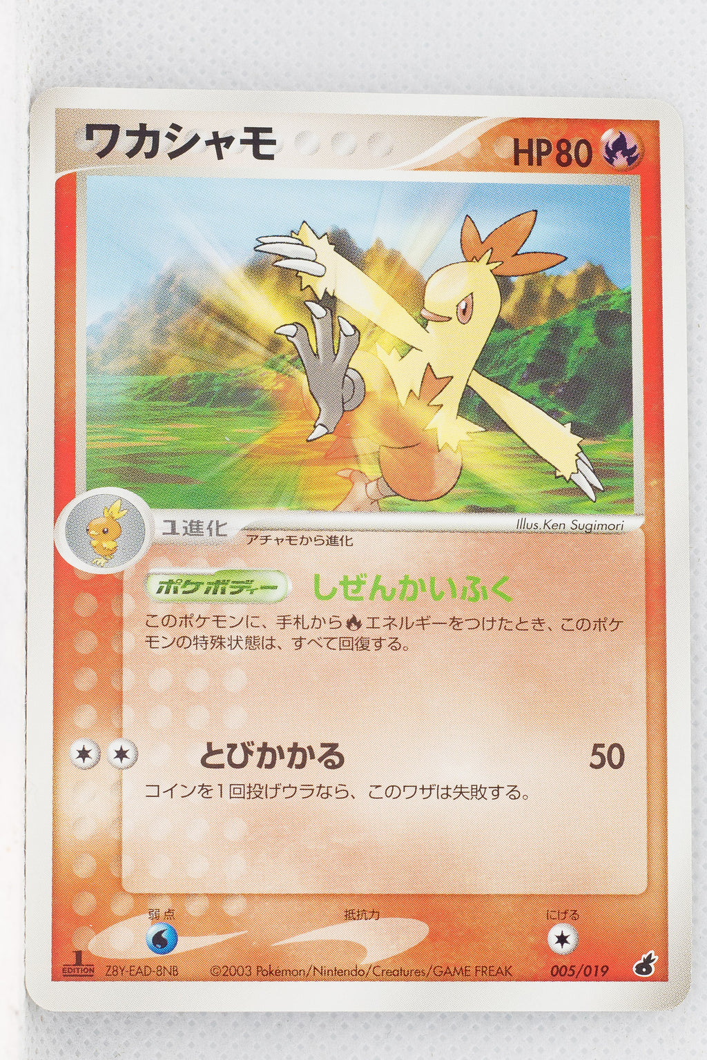 2003 Torchic Starter Deck 005/019	Combusken 1st Edition