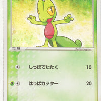 2003 Treecko Starter Deck 003/019 Treecko Holo 1st Edition