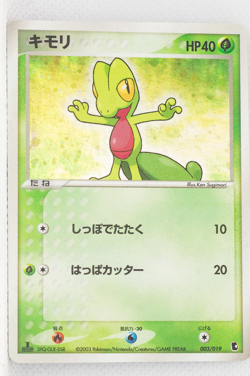 2003 Treecko Starter Deck 003/019 Treecko Holo 1st Edition