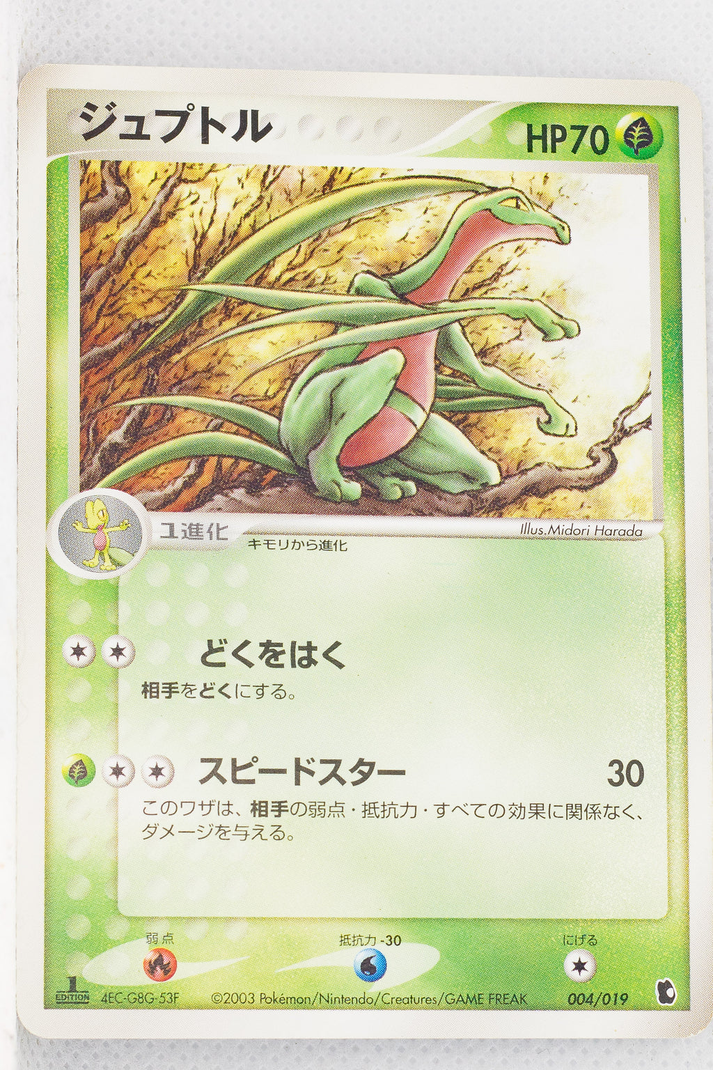 2003 Treecko Starter Deck 004/019 Grovyle 1st Edition