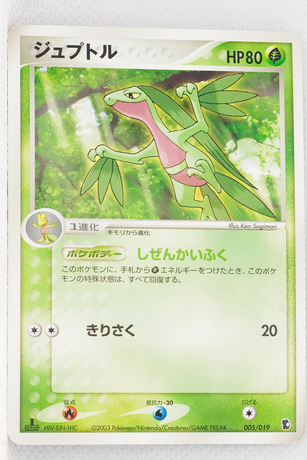 2003 Treecko Starter Deck 005/019 Grovyle 1st Edition