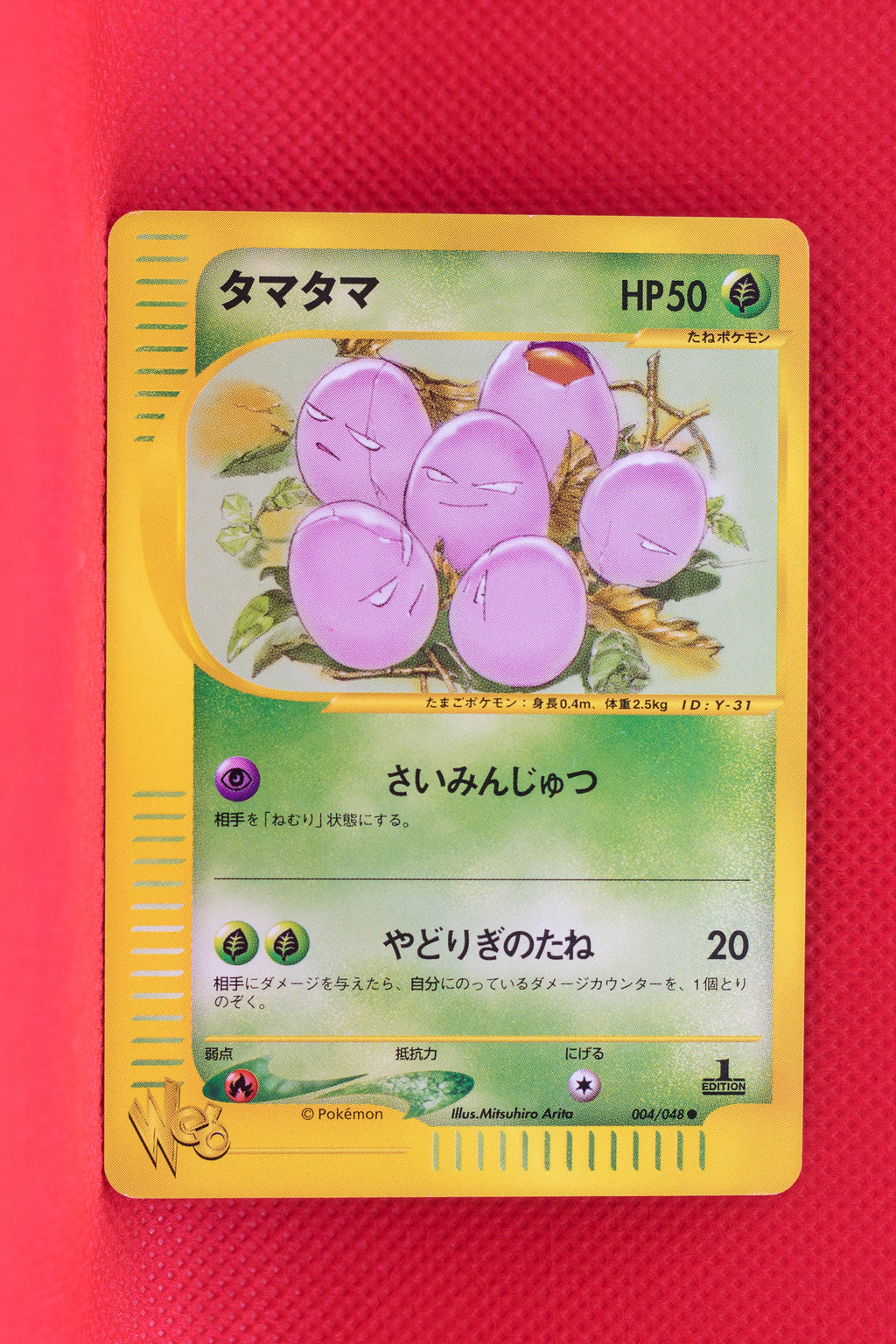 Web 004/048 1st Edition Exeggcute