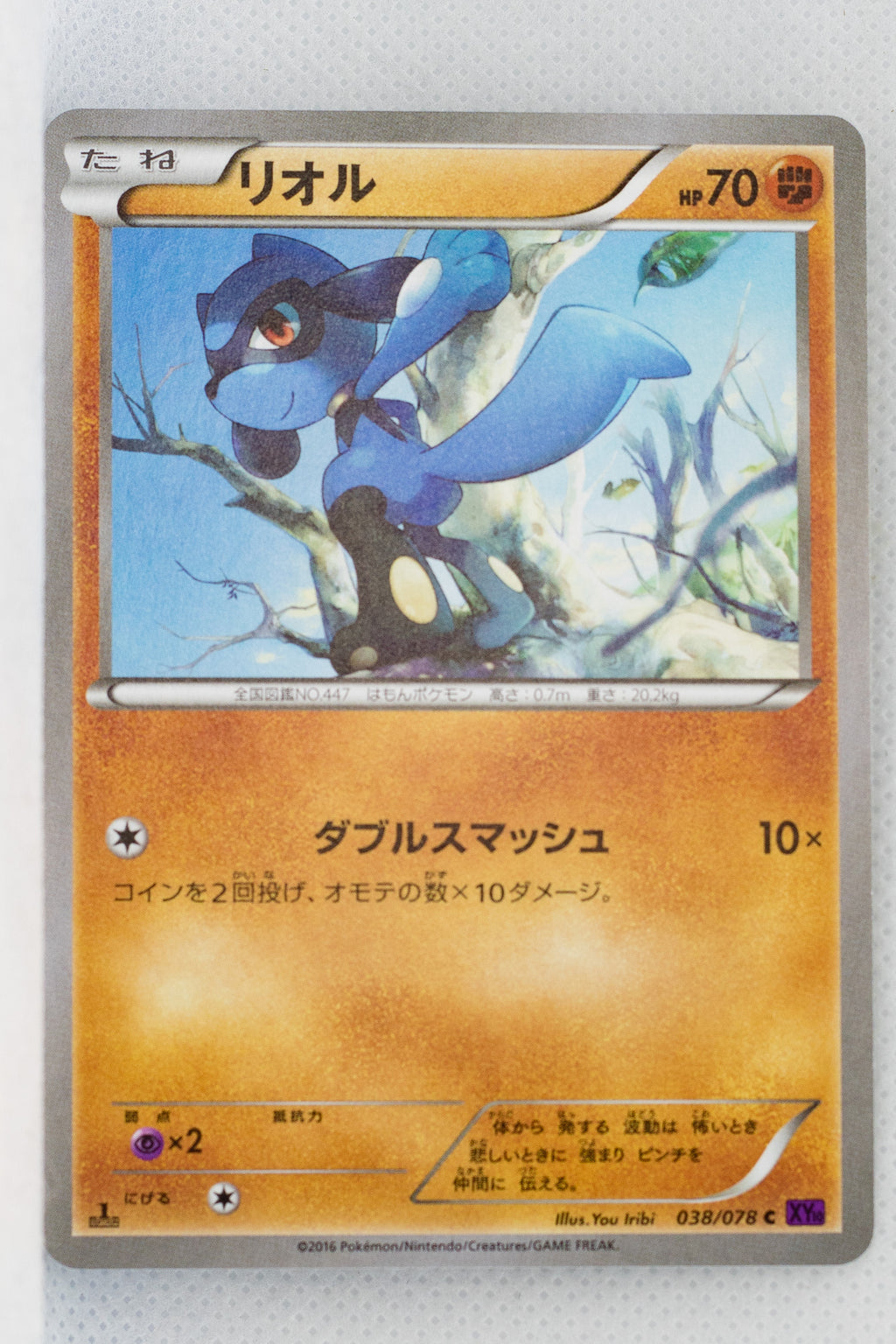 XY10 Awakening Psychic King 038/078 Riolu 1st Edition