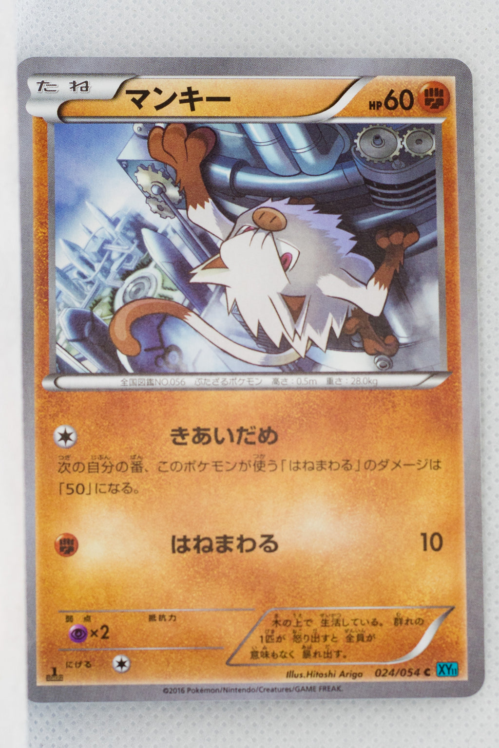 XY11 Cruel Traitor 024/054 Mankey 1st Edition