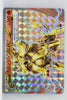 XY11 Explosive Fighter 010/054 Pyroar BREAK Holo 1st Edition