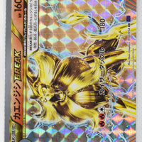 XY11 Explosive Fighter 010/054 Pyroar BREAK Holo 1st Edition