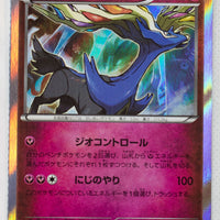 XY11 Explosive Fighter 041/054 Xerneas Holo 1st Edition