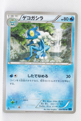 XY1 Collection X 020/060 Frogadier 1st Edition