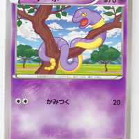 XY1 Collection X 024/060 Ekans 1st Edition