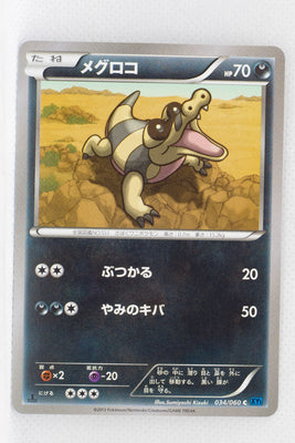 XY1 Collection X 034/060 Sandile 1st Edition