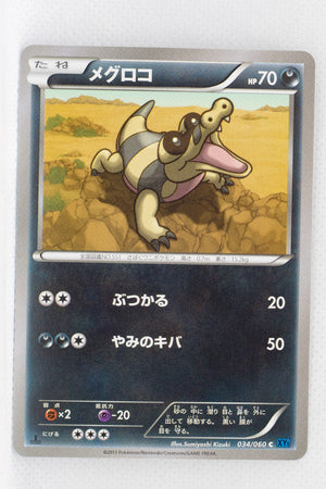XY1 Collection X 034/060 Sandile 1st Edition
