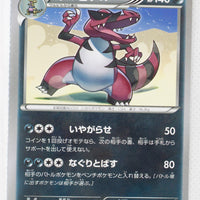 XY1 Collection X 036/060 Krookodile 1st Edition