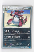 XY1 Collection X 036/060 Krookodile 1st Edition