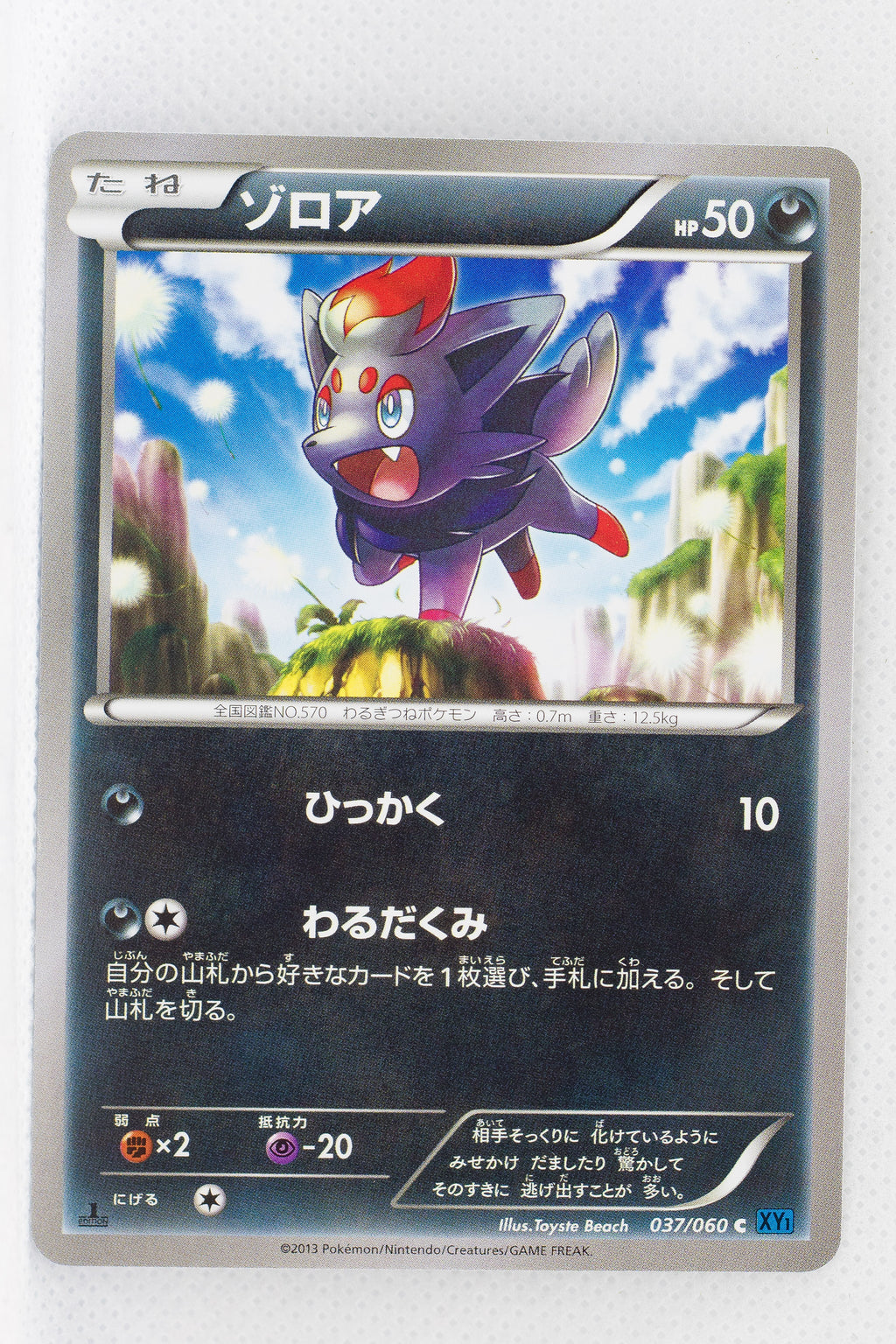 XY1 Collection X 037/060 Zorua 1st Edition