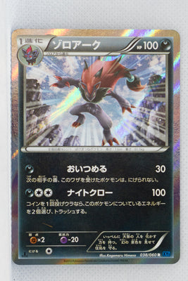 XY1 Collection X 038/060 Zoroark 1st Edition Holo