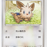 XY1 Collection X 049/060 Lillipup 1st Edition