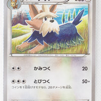 XY1 Collection X 050/060 Herdier 1st Edition