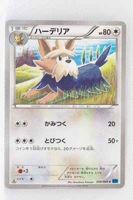 XY1 Collection X 050/060 Herdier 1st Edition