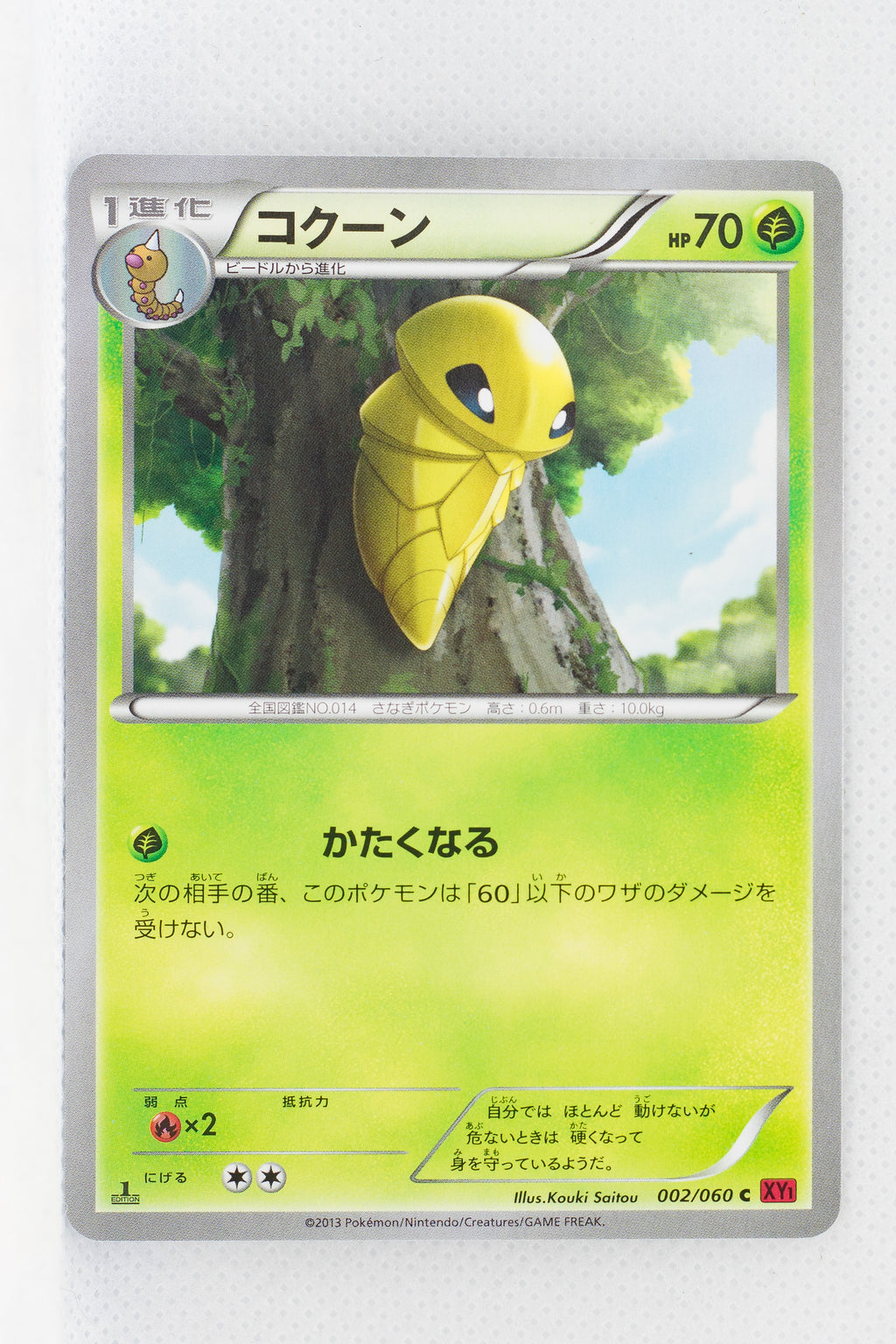 XY1 Collection Y 002/060 Kakuna 1st Edition