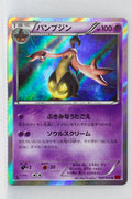 XY1 Collection Y 028/060 Gourgeist 1st Edition Holo