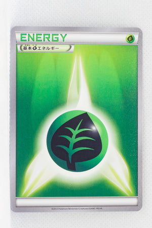 XY1 Collection Grass Energy