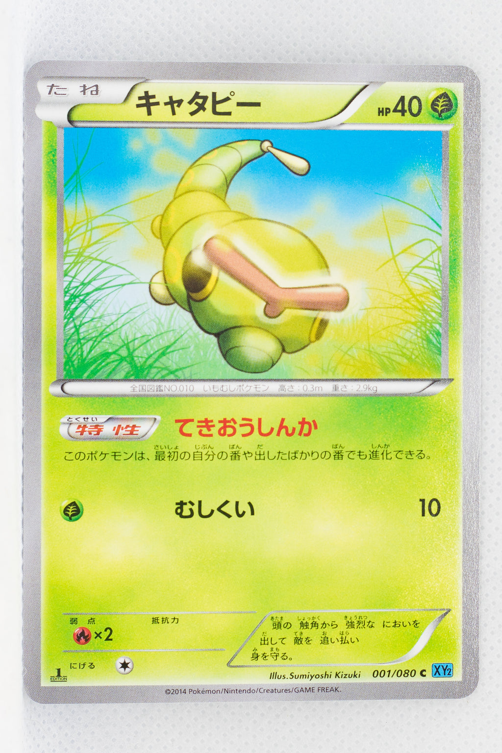 XY2 Wild Blaze 001/080 Caterpie 1st Edition