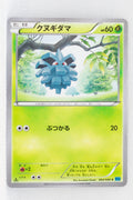 XY2 Wild Blaze 004/080 Pineco 1st Edition