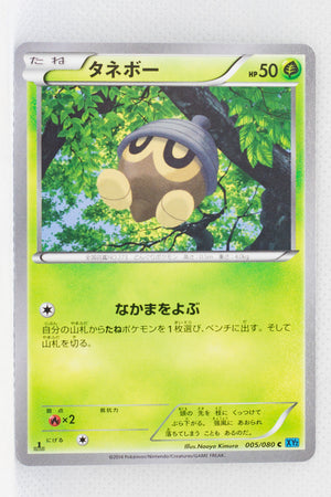 XY2 Wild Blaze 005/080 Seedot 1st Edition