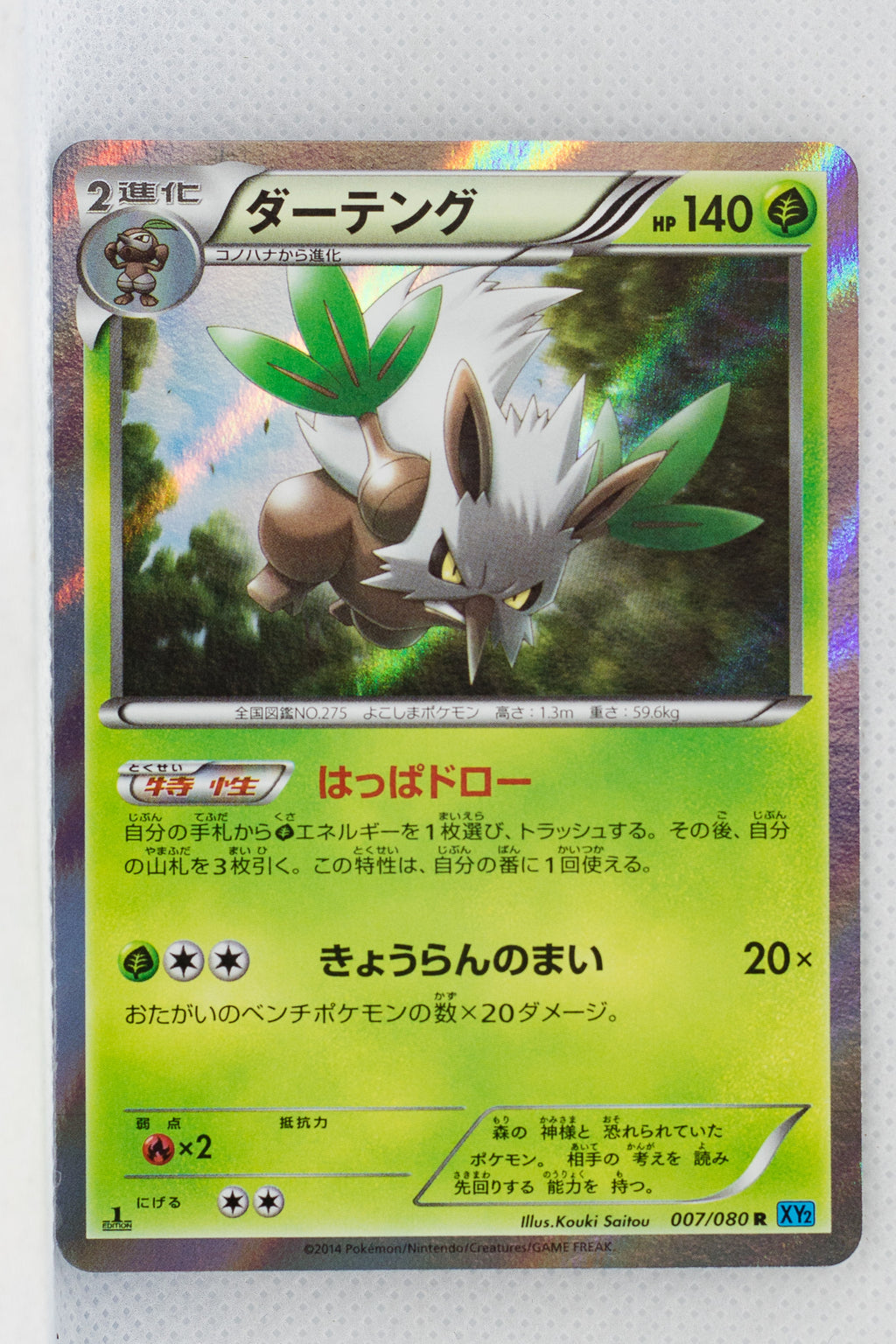 XY2 Wild Blaze 007/080 Shiftry 1st Edition Holo