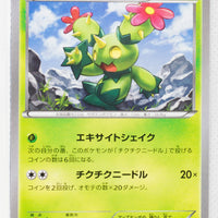 XY2 Wild Blaze 010/080 Maractus 1st Edition