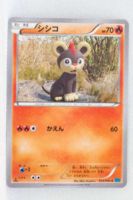 XY2 Wild Blaze 014/080 Litleo 1st Edition